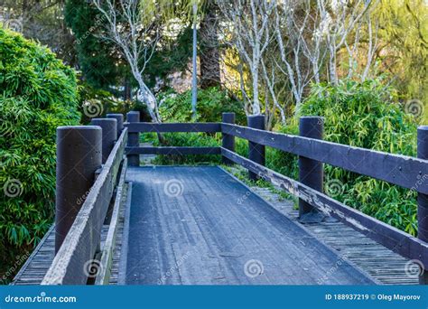 Wooden Pathway Bridge In City Park Summer Day Stock Image Image Of