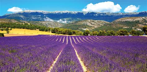 H Tels Provence Alpes C Te D Azur Conomisez Jusqu Sur La Demi Pension