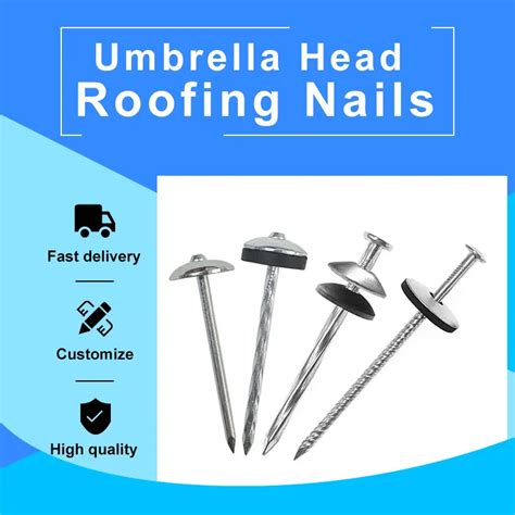 China Factory 75mmx355mm Ibr Roofing Safe Top Nails With Plastic