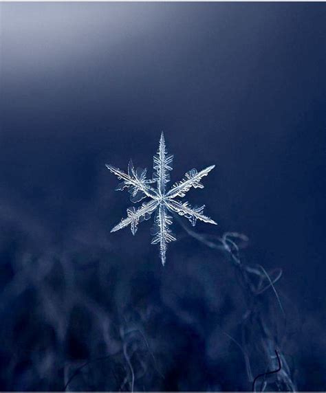 Macro shot of a snowflake. : pics