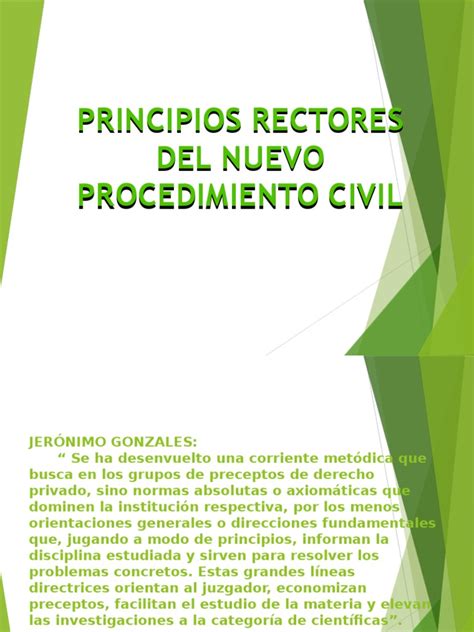 1 Principios Rectores Del Nuevo Procedimiento Civil Procedural Law