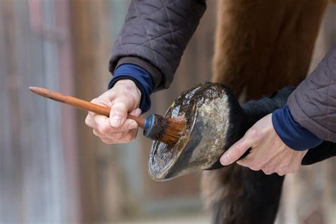 The Best Hoof Care Products For Horses Uk 2021 Horses In Sport