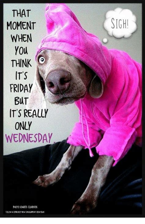 We don't just like friday, we love friday! THAT MOMENT WHEN YOU THINK ITS FRIDAY BUT IT'S REALLY ONLY WEDNESDAY SIGH! | It's Friday Meme on ...