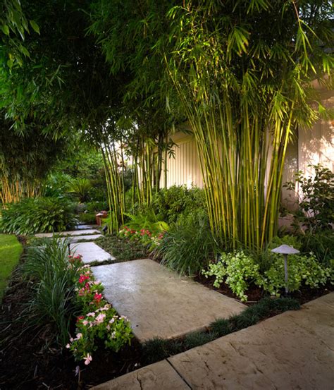 Bamboo Landscaping Guide Design Ideas Pro Tips Install It Direct