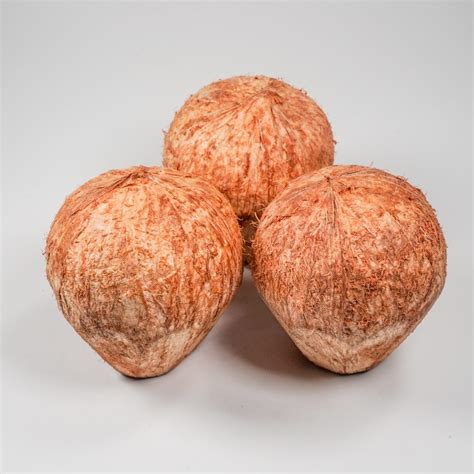 Frozen Shredded Coconut Mtfruit Fruit And Vegetables Global Supplier