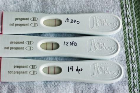Multiple Pregnancy Symptoms Negative Test Pregnancy Sympthom
