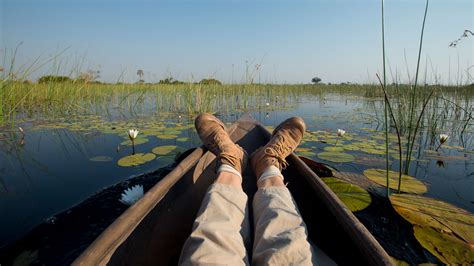 Mokoro Activity In Moremi Game Reserve Okavango Delta