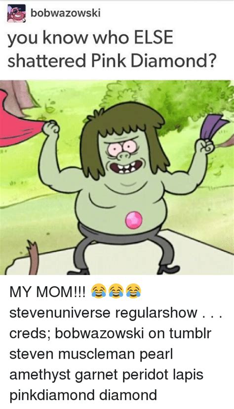 Memes Tumblr And Amethyst Bobwazowski You Know Who Else Shattered