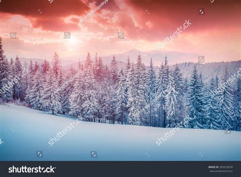 Colorful Winter Scene Carpathian Mountains Stock Photo Edit Now 343253678