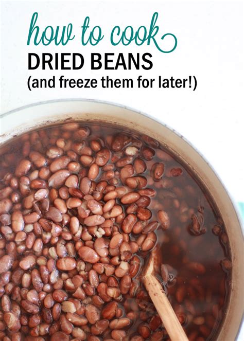 how to cook dried beans and freeze them for later kitchen treaty