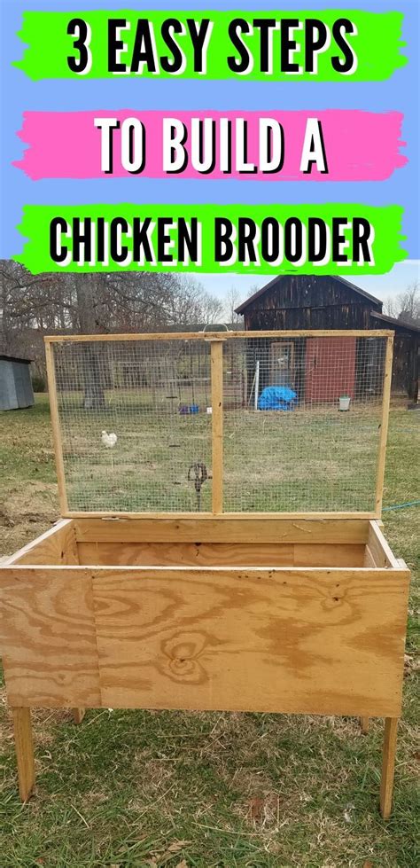 Chicken Brooder Easy Free Diy Chicken Brooder Plans Artofit