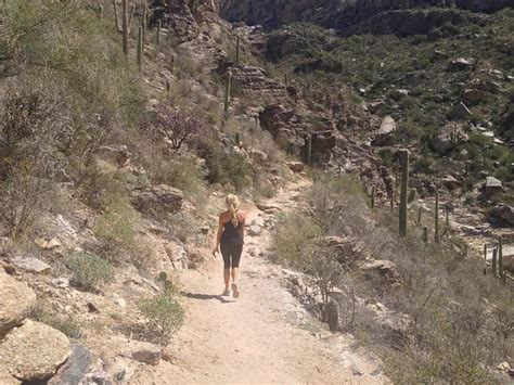 Sabino Canyon Hiking Trail Tucson Arizona Hike Go Hike It