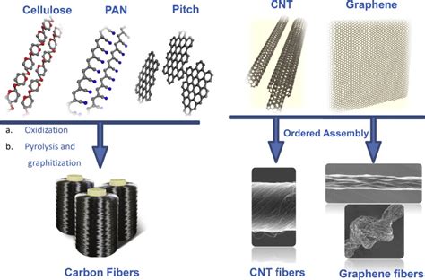 The Precursor System Of Conventional Carbon Fibers And The New Species