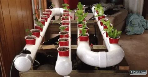 How To Diy Pvc Hydroponics Gardening For Awesome Results