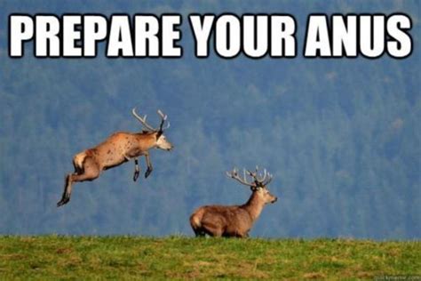 deer prepare your anus know your meme