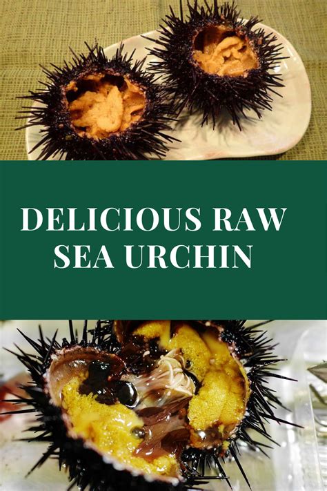 Sea Urchin Recipes Food Network