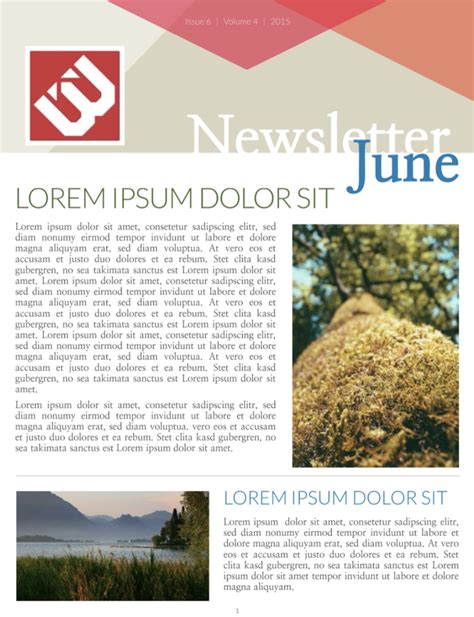 Best Newsletter Design Ideas Examples To Inspire You