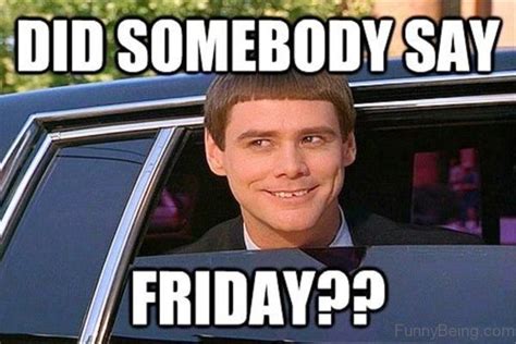 Happy Friday Memes Work Friday Animal Meme Friday Meme  Friday Movie