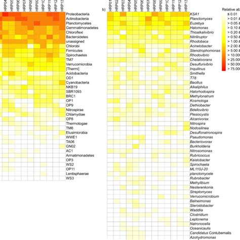 Heat Map With The Relative Abundance Of The Bacterial A Phyla And B Download Scientific
