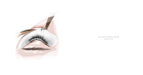 Premium Vector Vector Illustration Eyelash Extension Eyelash