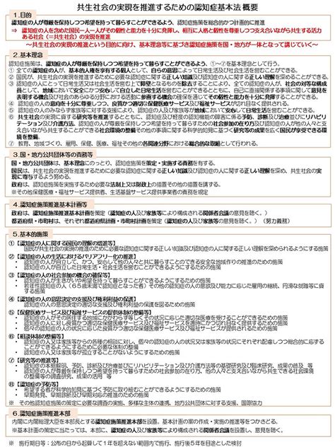 主な実績紹介：『共生社会の実現を推進するための認知症基本法』制定