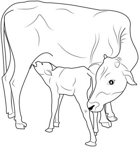 Fise De Colorat Cu Desen De Baz Vaca Cu Iarb Desc Rca I Imprima I