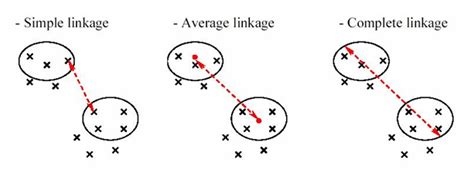 Hierarchical Clustering Foundational Concepts And Example Of
