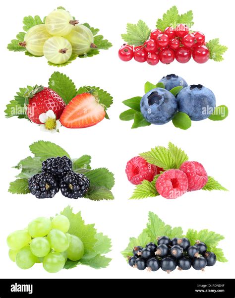 Berries Collection Strawberries Blueberries Grapes Berry Fruits Fruit