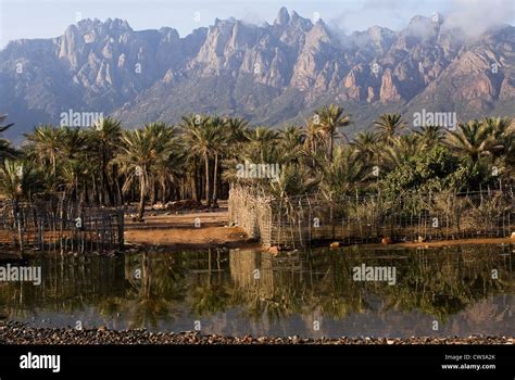 A Oasis Near Hadibo Socotra Island Yemen Western Asia Arabian
