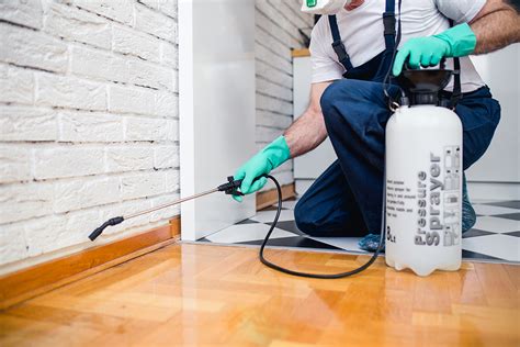 Is A Pest Control Service Worth It Pest Control Tergo When