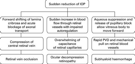 Sudden lowering of intraocular pressure may cause retinal bleeding by three different mechanisms 