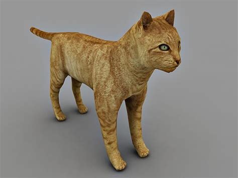 Cat 3d Model