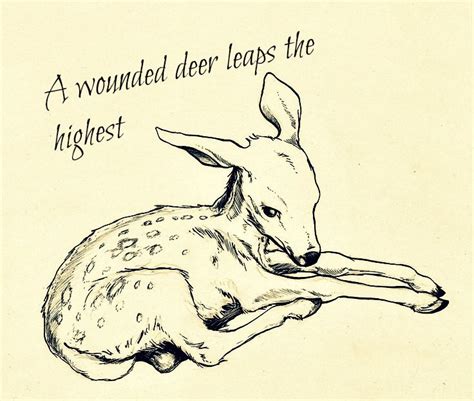 Cute Tattoo Idea X Drawings Art Deer Tattoo