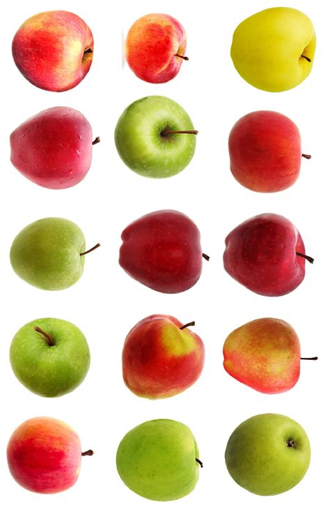 Top 9 Types Of Apples You Should Know Healthier Steps