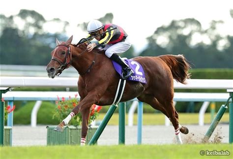 ボッカデラベリタ — 柊キライ feat.flower 03:19. 【大阪杯】ラッキーライラック「2年連続中山記念2着」の意味 ...