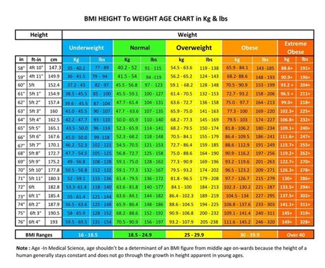 New Female Weight Chart Xls Xlsformat Xlstemplates Xlstemplate