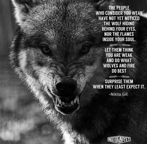 Wolf Quotes