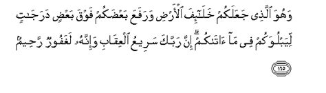 Surah Al An Am Verse 165