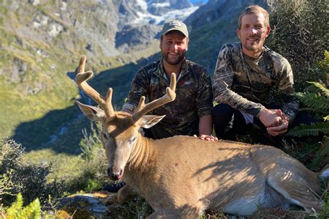 Whitetail Real Kiwi Hunting