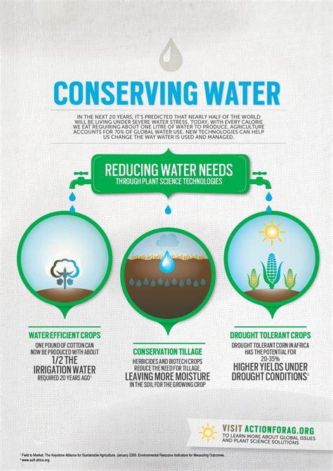 Conserve Water When Growing Water Conservation Infographic Health