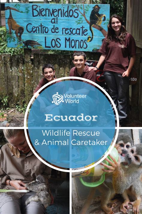 Wildlife Rescue & Animal Caretaker | Volunteer in Ecuador 2021 ...