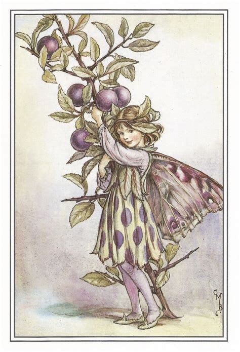 Sloe Fairy Cicely Mary Barker Flower Fairies Vintage Print Etsy