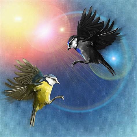 Drawing Of Two Flying Birds Free Image Download