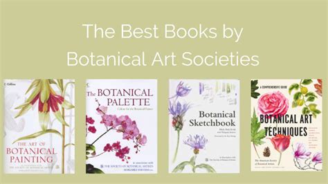 Best Botanical Art Instruction Books Botanical Art And Artists