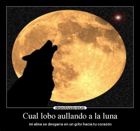 Lobo Aullando A La Luna Llena 1920x1080 Fondos De Pan