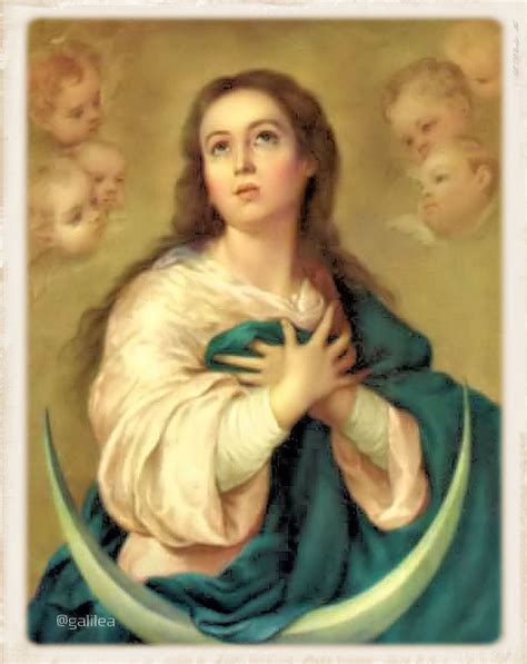 Corazón De Jesús En Vos Confío Solemnidad De La Inmaculada Concepción