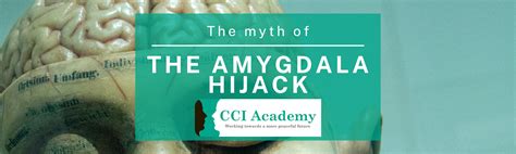 The Myth Of The Amygdala Hijack Cci Academy