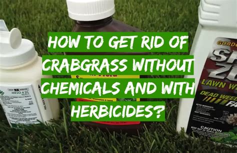 How To Get Rid Of Crabgrass Without Chemicals And With Herbicides Grass Killer