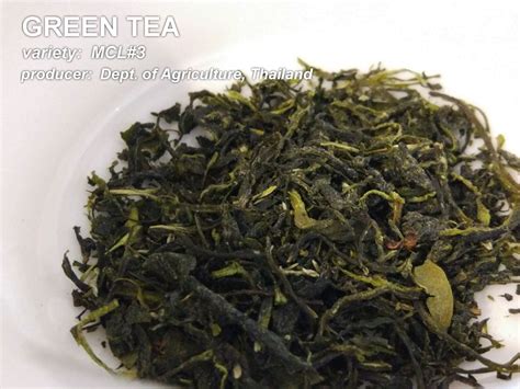 Tea expert john bickel discusses tea in thailand, covering topics such as fake teas, real thai teas, thai iced tea, chatramue, and more. green tea produced from a hybrid variety named MCL#3 ...