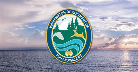 Sport Fishing Closure Starts Today Wdfw Provides Background On Why